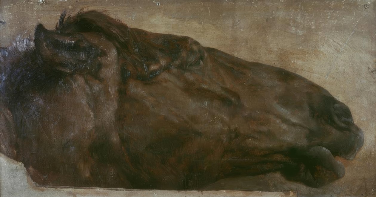 Pferdestudie. Cabeça em vista lateral à direita de Adolph Menzel