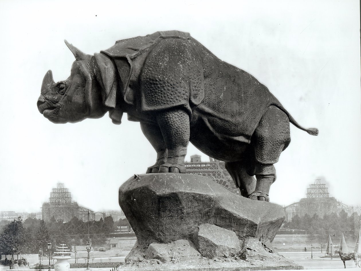 Rinoceronte, 1878, por Alfred Jacquemart (1824-96) em frente ao Palácio Trocadero, construído para a Exposição Universal (1878), Paris, 1888 de Adolphe Giraudon