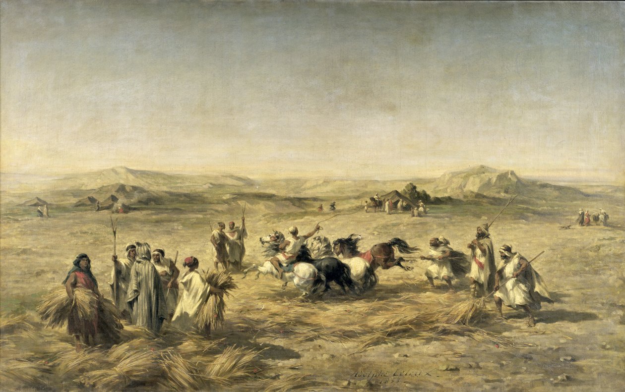 Debulha Trigo na Argélia, 1853 de Adolphe Pierre Leleux
