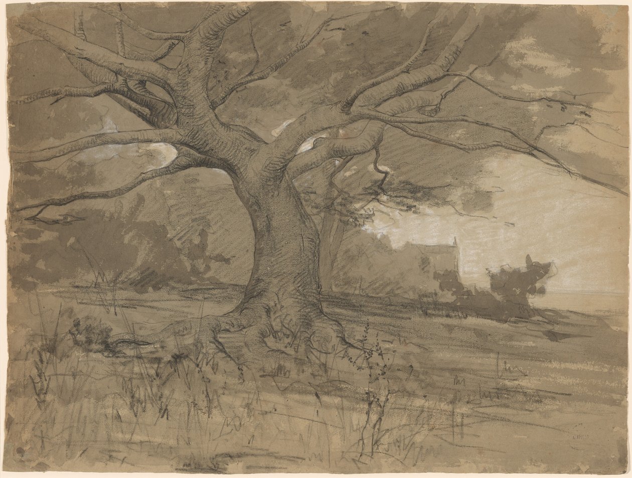 Uma grande faia na borda de uma floresta de Adolphe Appian