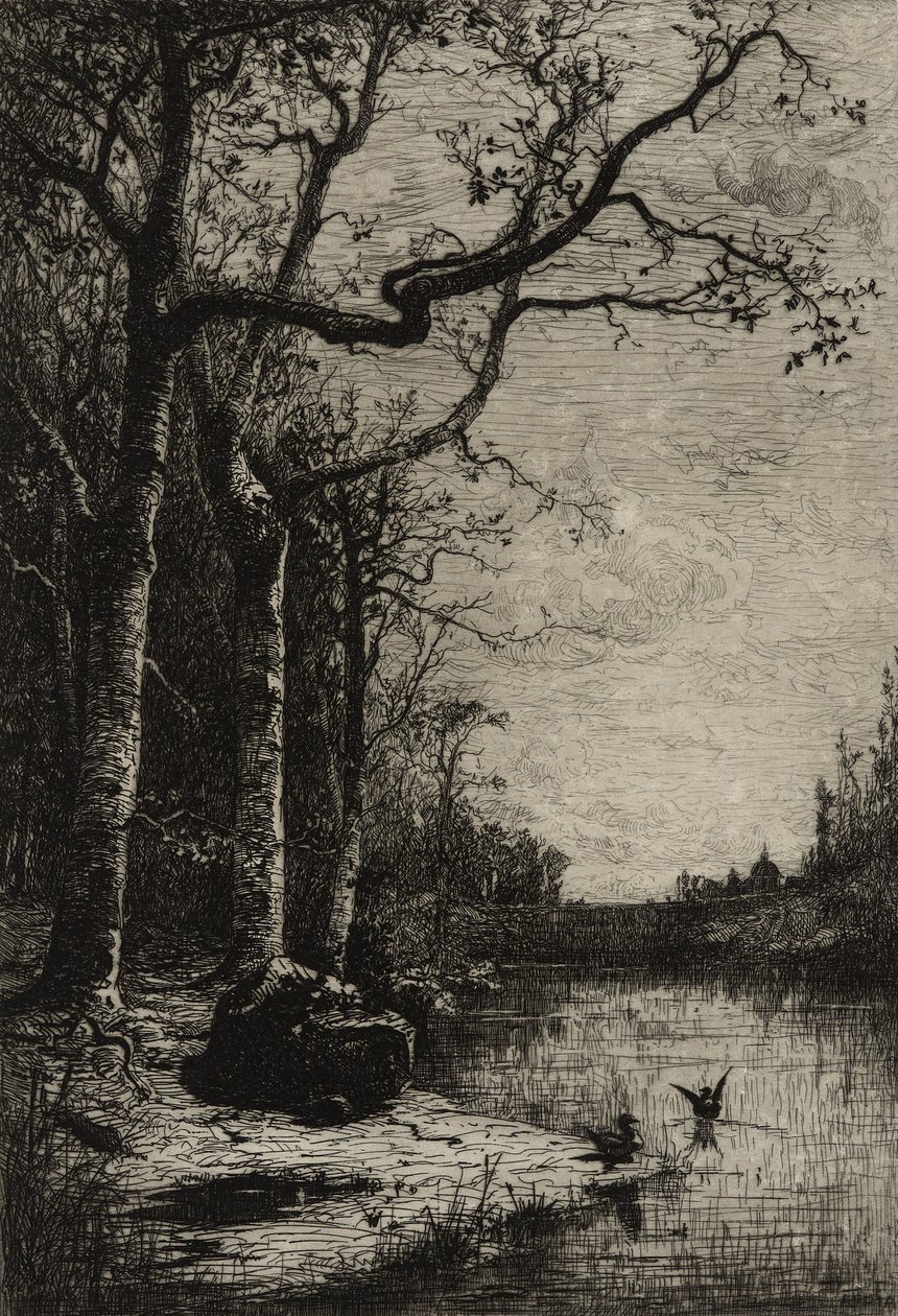 O Pântano de Burbanche (placa grande), c.1870 (gravura) de Adolphe Appian