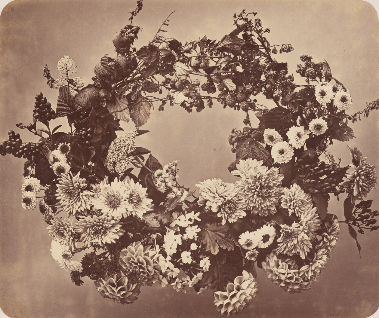 Guirlanda de flores e frutos silvestres de Adolphe Braun