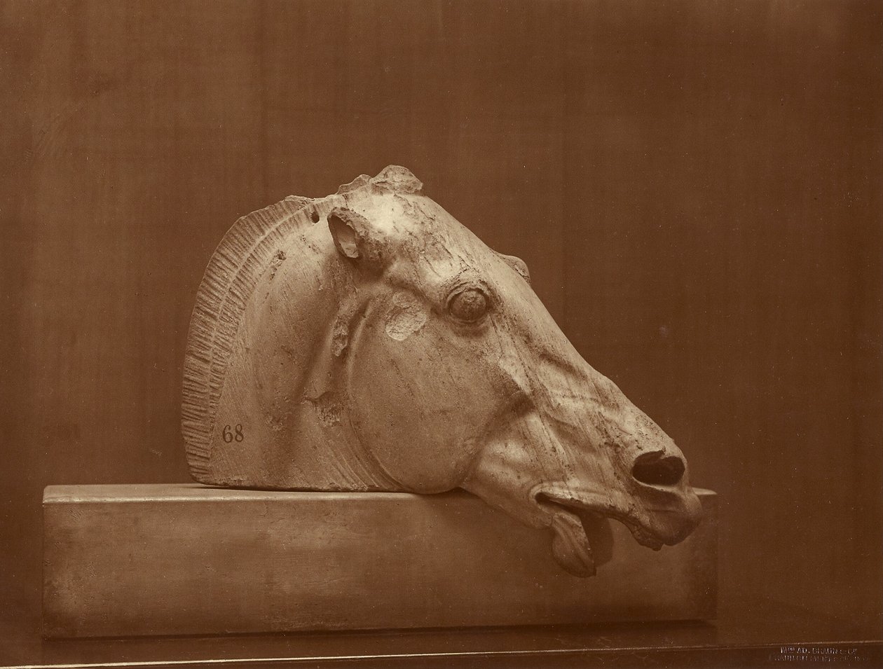 [Cabeça de cavalo do frontão do Partenon, Museu Britânico] de Adolphe Braun