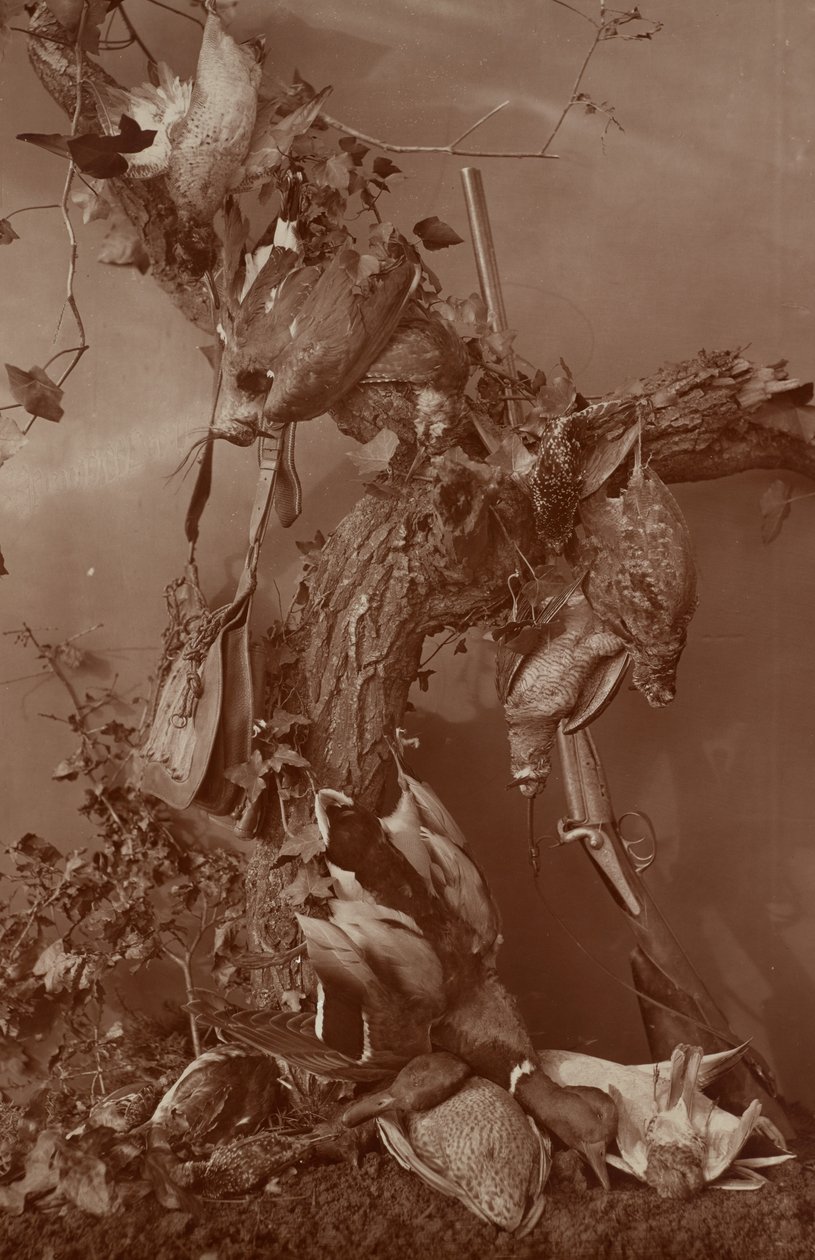 [Still Life: Jogo morto] de Adolphe Braun