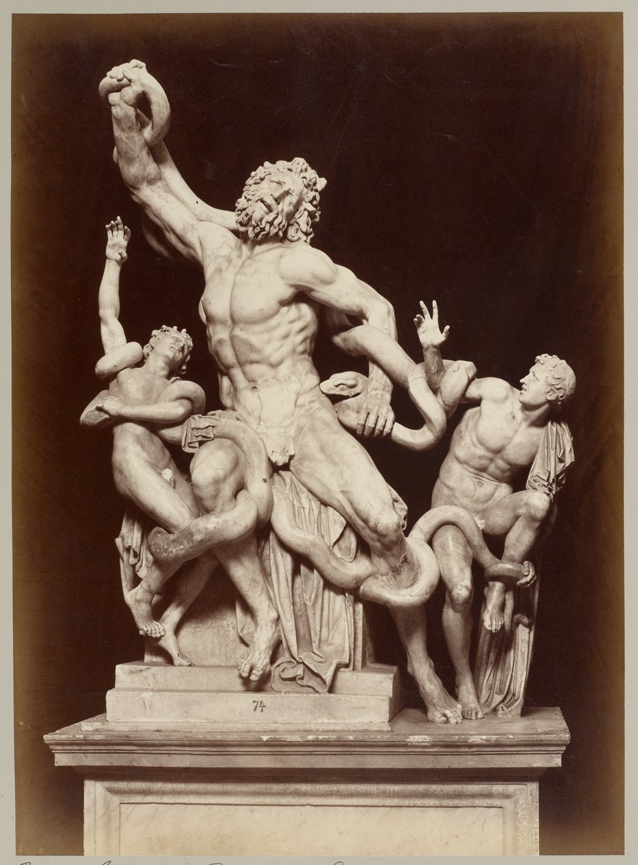 O Laocoonte no Museu do Vaticano de Adolphe Braun