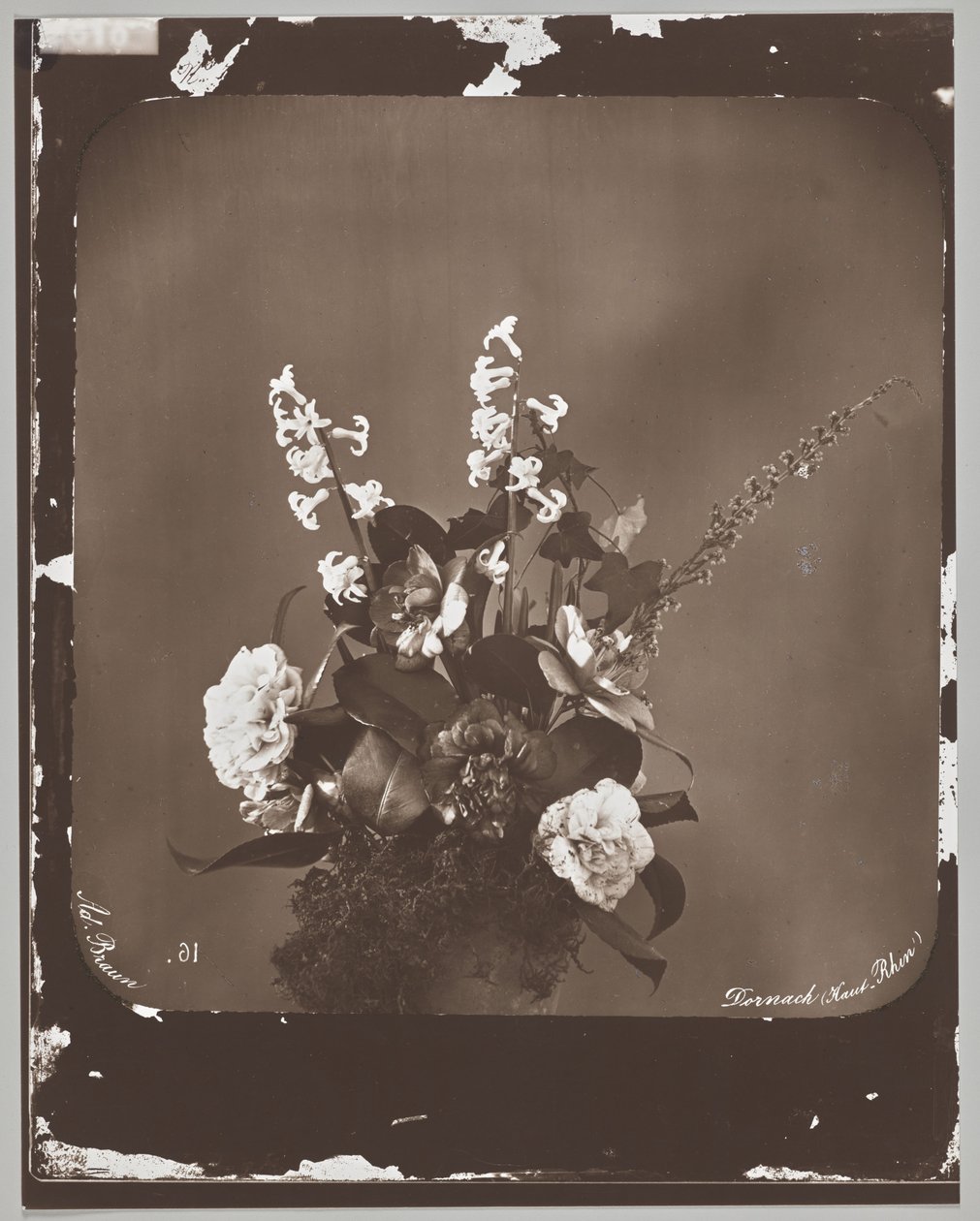 Sem título (arranjo de flores) de Adolphe Braun