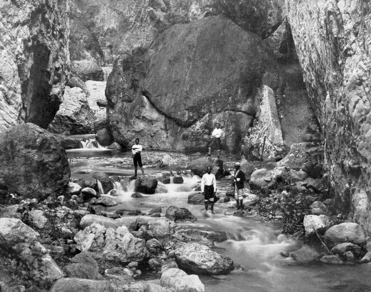 Rio Cane, Jamaica, c1905. de Adolphe Duperly and Son