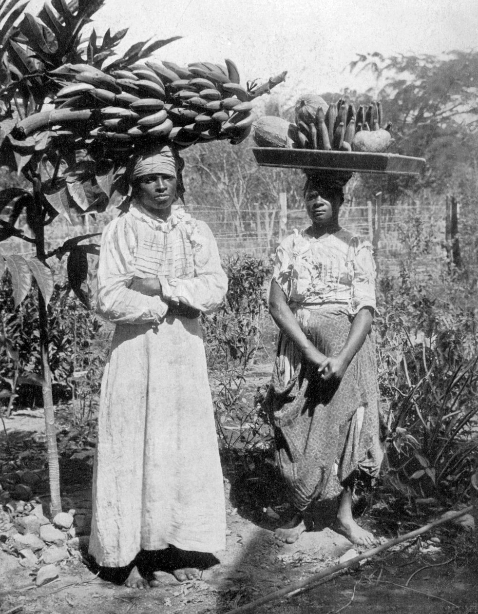 Vendedores de frutas, Jamaica, c1905 de Adolphe Duperly and Son
