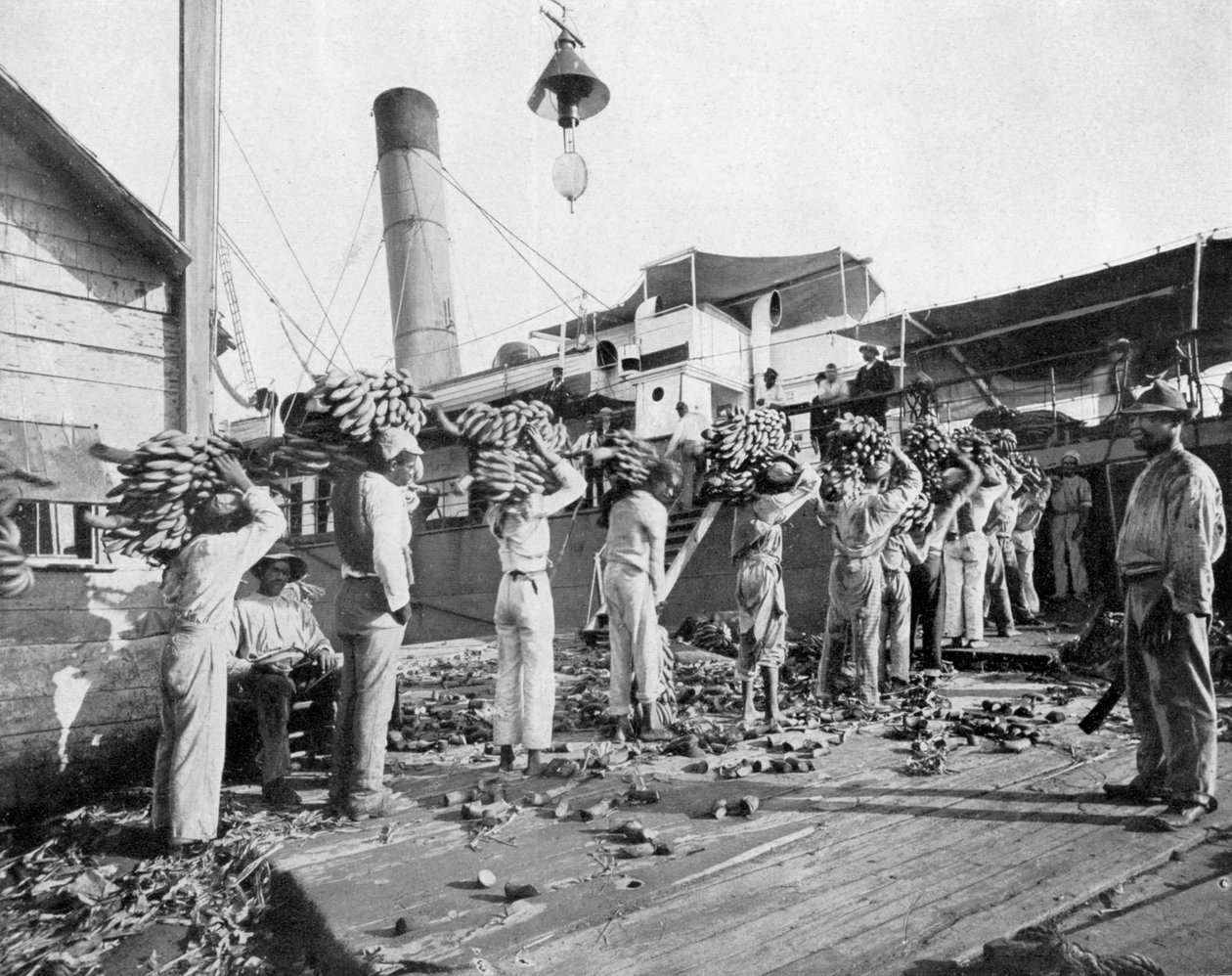 Carregando bananas, Port Antonio, Jamaica, c1905. de Adolphe Duperly and Son