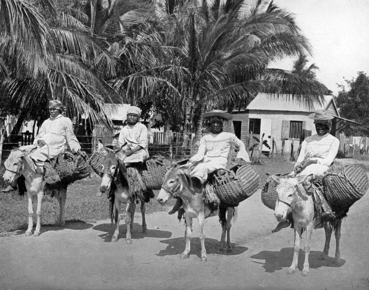 A caminho do mercado, Jamaica, c1905. de Adolphe Duperly and Son