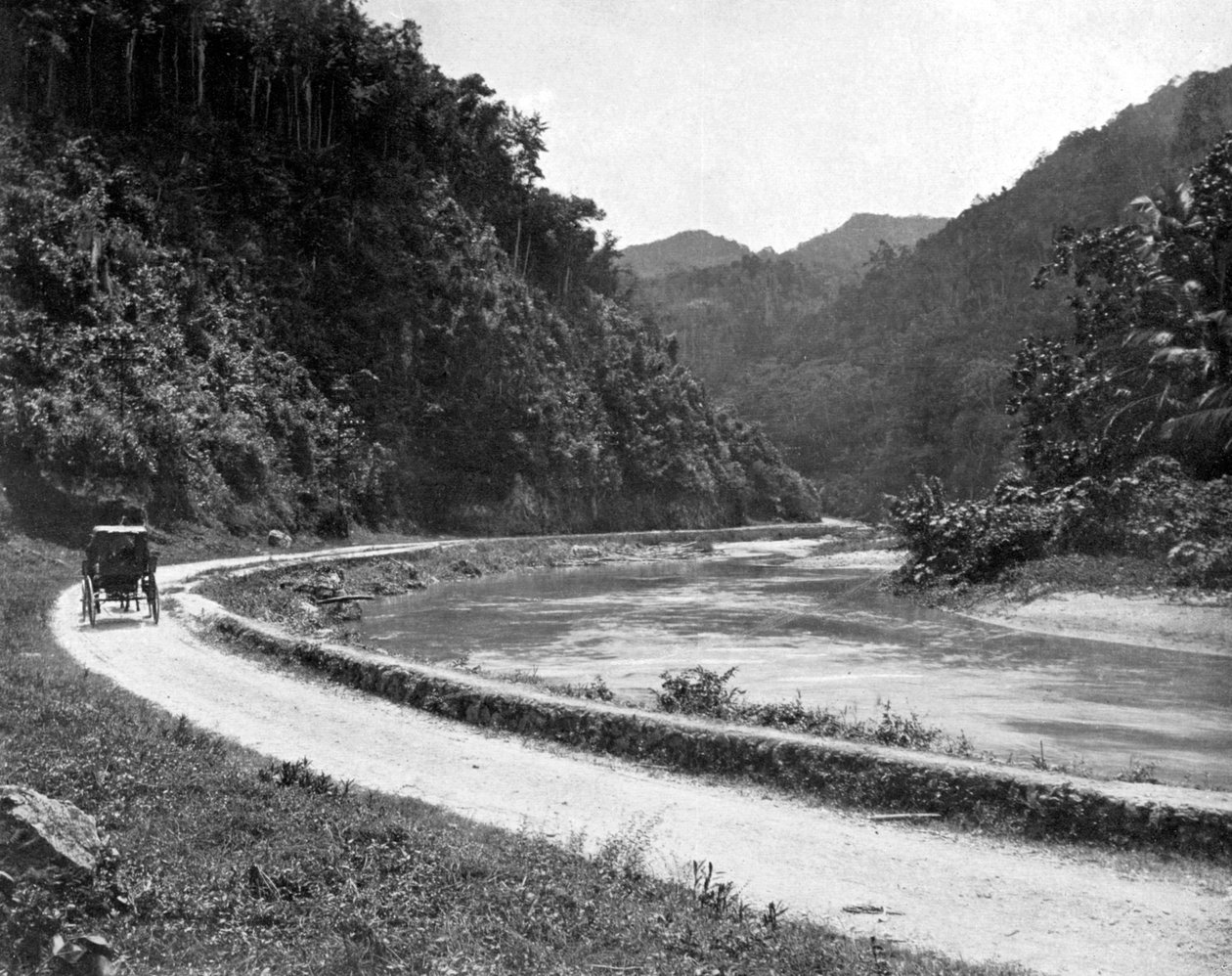 Estrada para Bog Walk, Jamaica, c1905. de Adolphe Duperly and Son