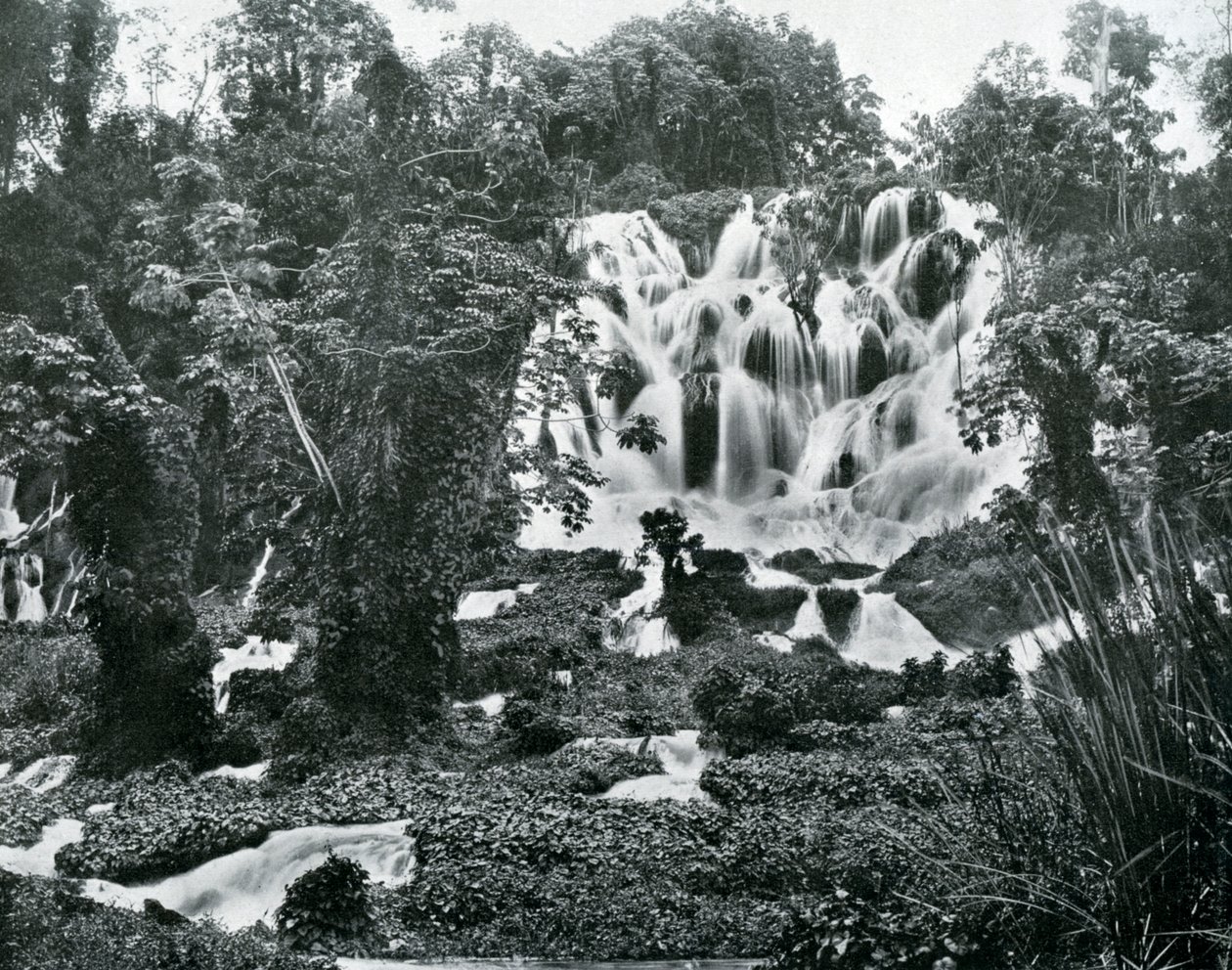 Roaring River Falls, Jamaica, c1905. de Adolphe Duperly and Son