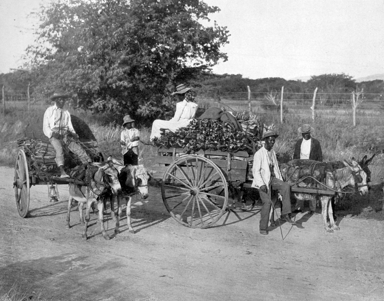 Carrinhos de madeira, Jamaica, c1905. de Adolphe Duperly and Son