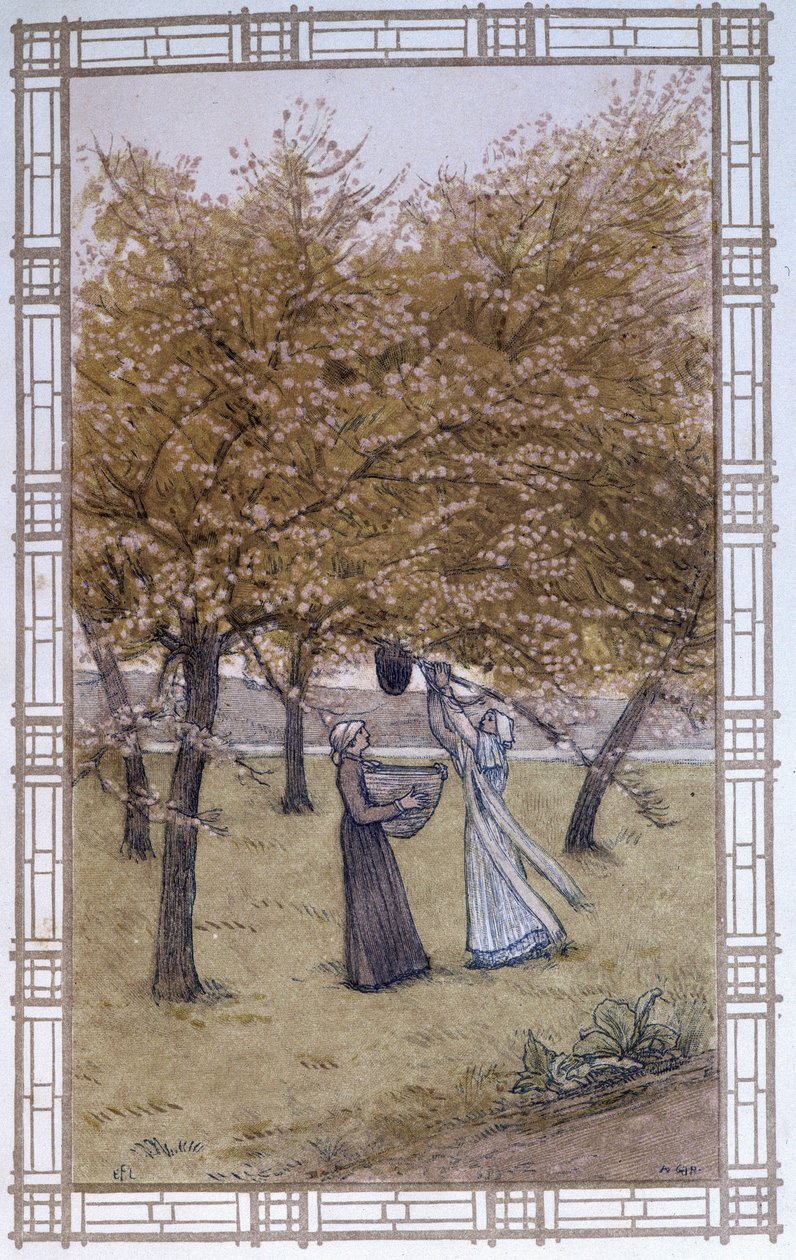 Vida das abelhas: o estábulo de um enxame - desenho de A. Giraudon de Adolphe Giraudon
