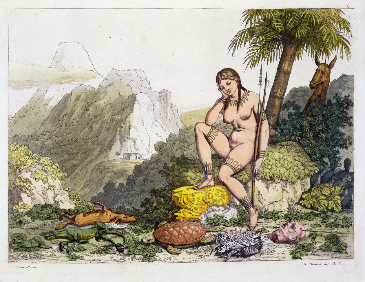Mulher indiana sul-americana, gravada por Gallo Gallina (1796-1874) (gravura a cores) de Adolphe Joseph Thomas Monticelli