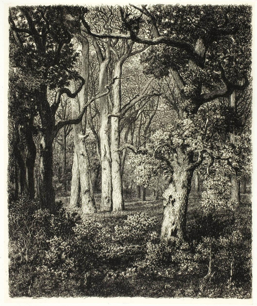 Velhos carvalhos em Bas Bréau de Adolphe Martial Potemont