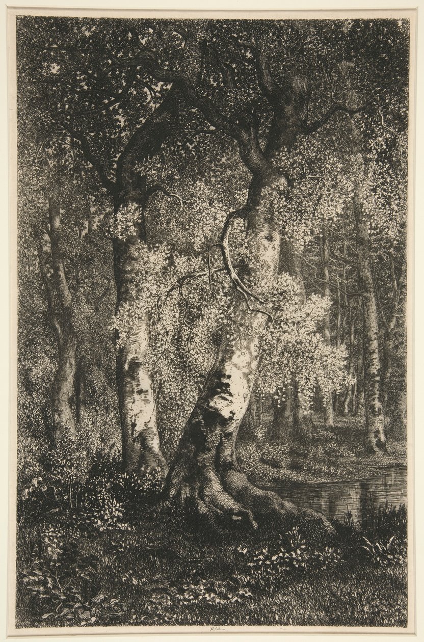 As Faias de Adolphe Martial Potemont
