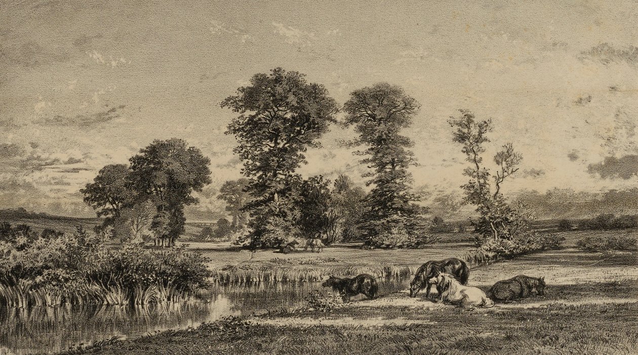 Cavalos a pastar de Adolphe Mouilleron