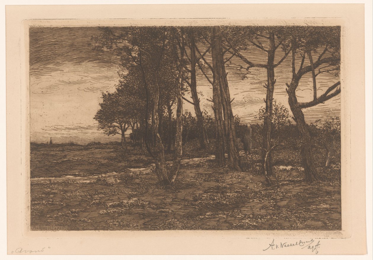 paisagem com árvores Noite (título no objeto) de Adolphe P.H J. van Weezel Errens (signed by artist)