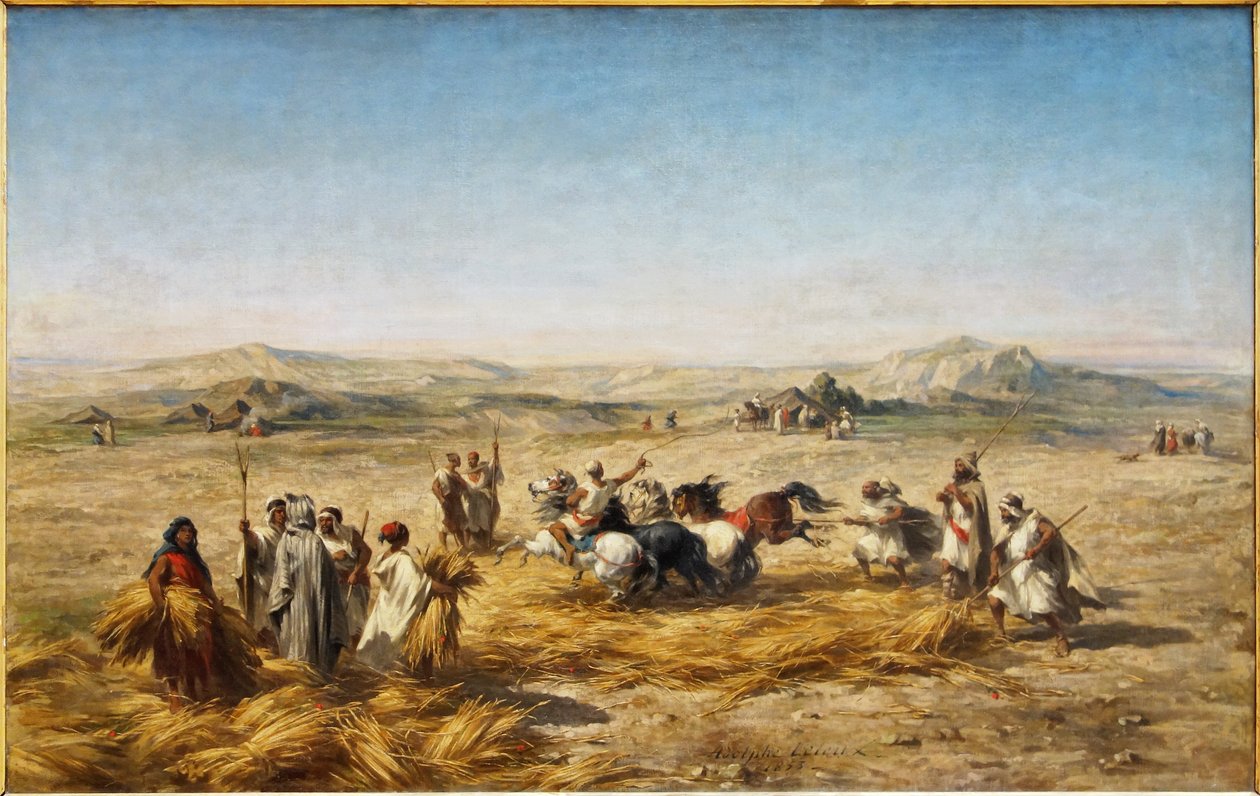 Francês: Descarga de trigo na Argélia de Adolphe Pierre Leleux