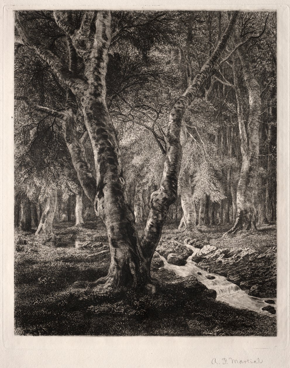 Floresta de Pierrefonds de Adolphe Théodore Jules Martial Potémont