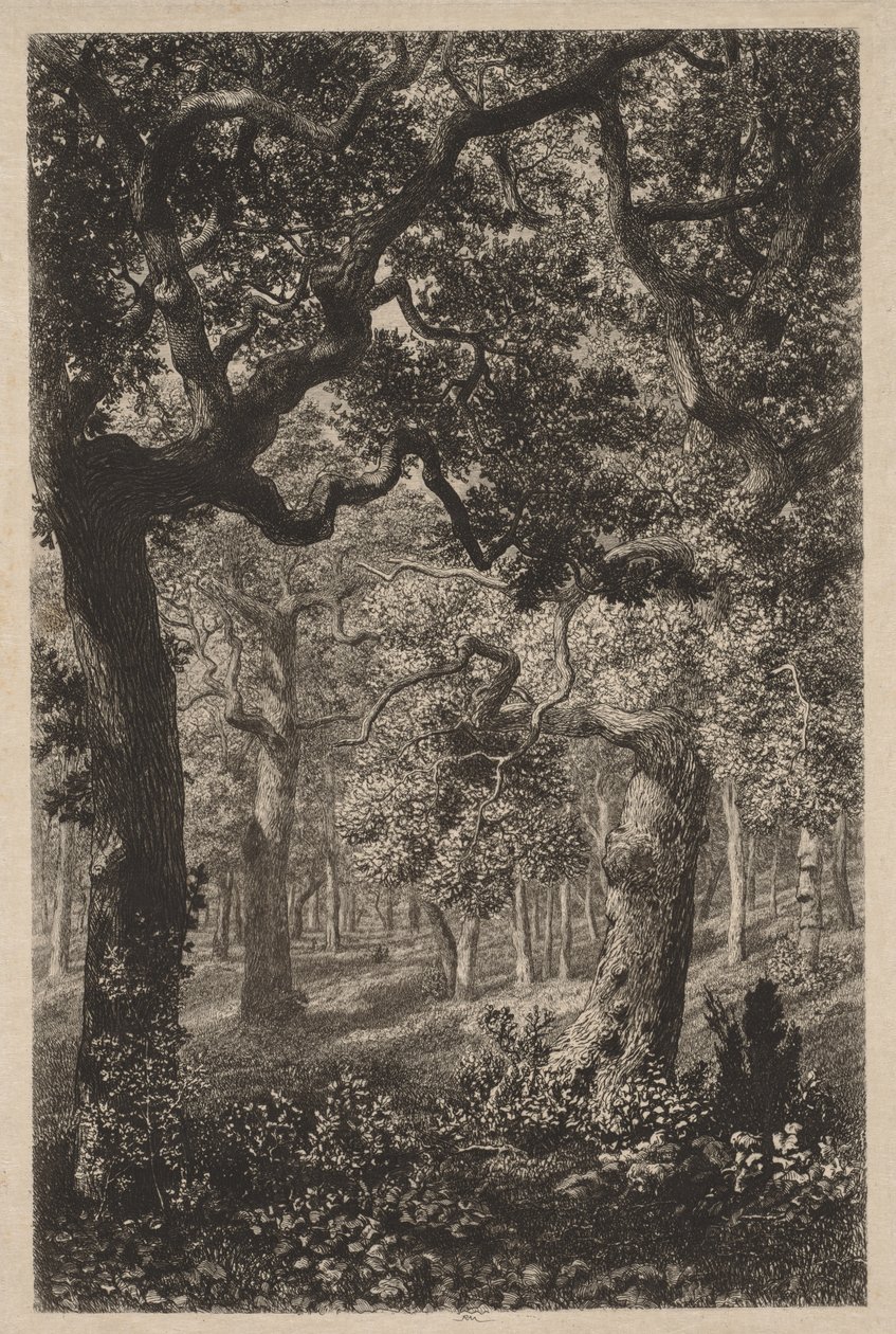Na floresta de Adolphe Théodore Jules Martial Potémont