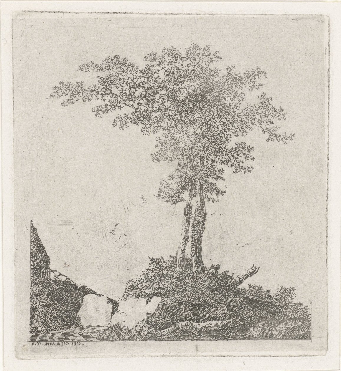 Duas árvores de Adriaan Jacob Willem van Dielen