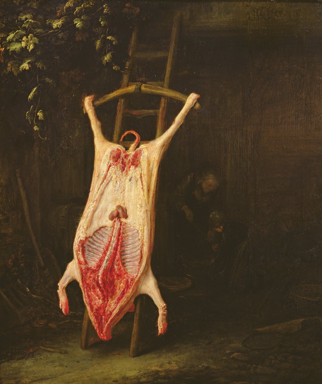 Porco Esfolado de Adriaen Jansz. van Ostade