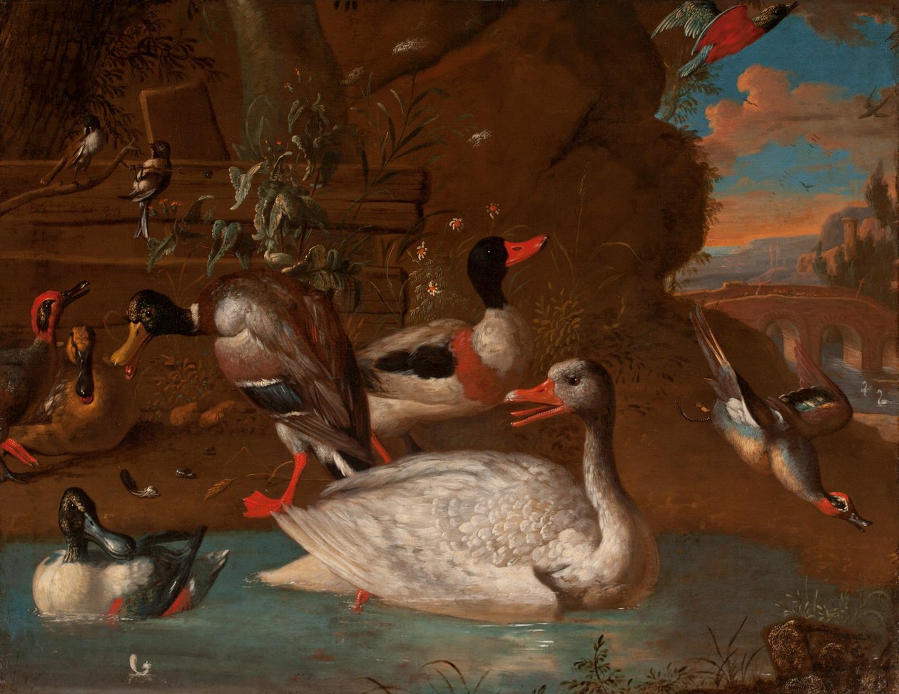 Um ganso branco norueguês cercado por um Shelduck, Mallard, Shovelers, Teals e Long-Tailed Tits em uma paisagem italianizada no crepúsculo, 1703 de Adriaen van Oolen