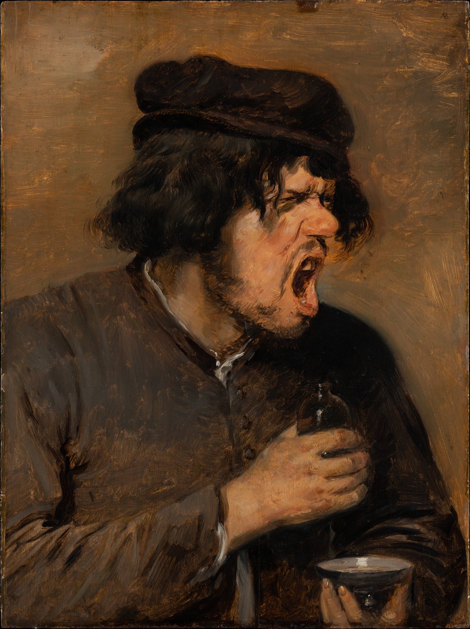 A poção amarga de Adriaen Brouwer
