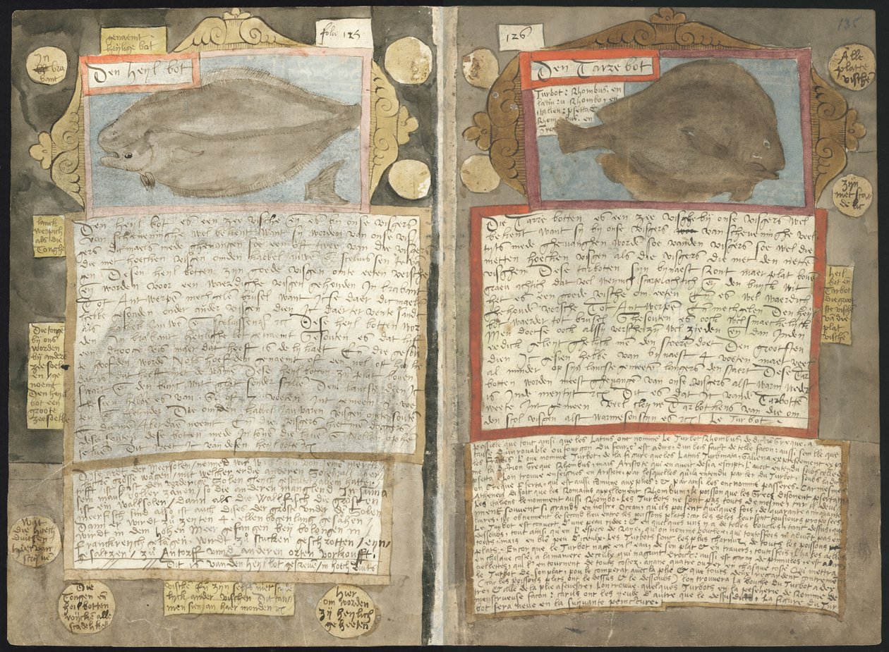 O Visboeck de Adriaen Coenen de Adriaen Coenen