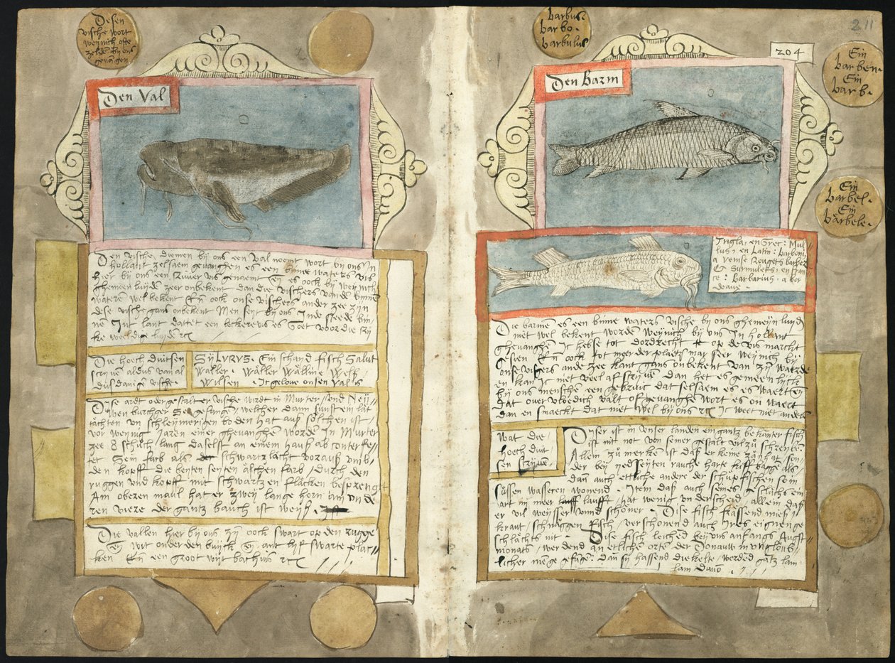 Visboeck de Adriaen Coenen - KB 78 E 54 - folios 210v (esquerda) e 211r (direita) de Adriaen Coenen