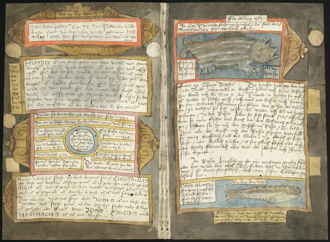 Visboeck de Adriaen Coenen - KB 78 E 54 - folios 370v (esquerda) e 371r (direita) de Adriaen Coenen