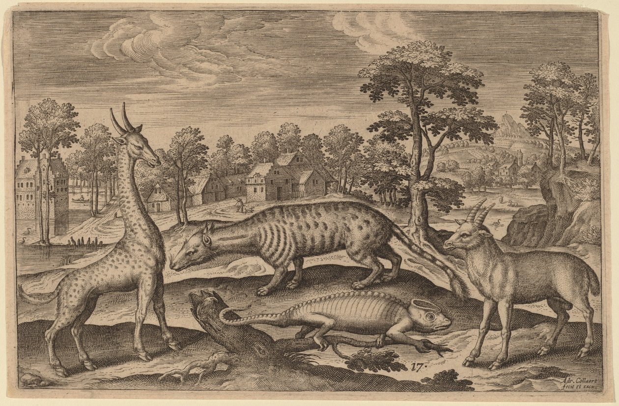 Uma girafa, um camaleão, uma civeta e um antílope de Adriaen Collaert