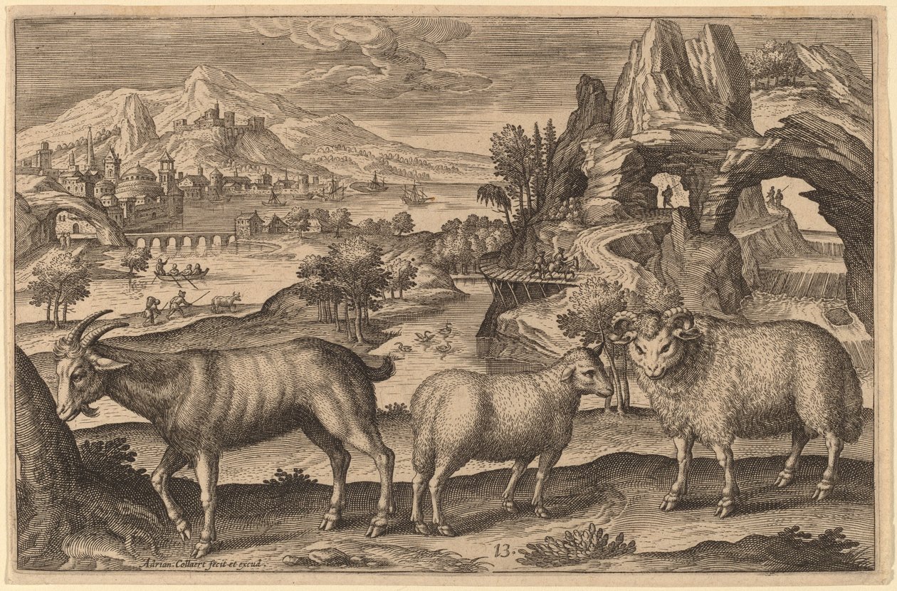 Uma cabra, uma ovelha e um carneiro de Adriaen Collaert