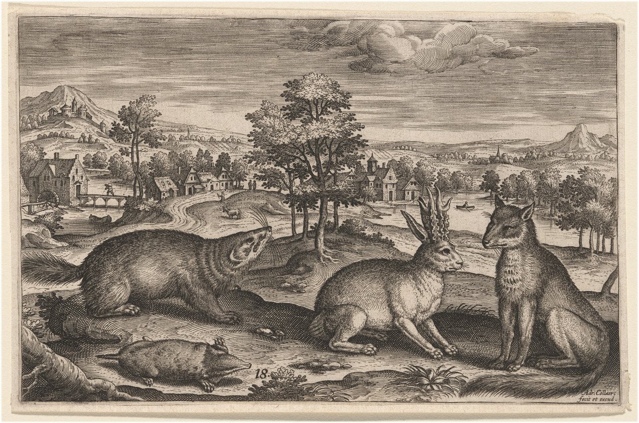 Uma toupeira, um texugo, uma lebre cornuda e uma raposa de Adriaen Collaert