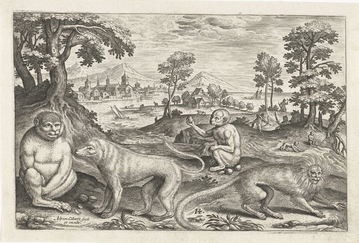 Apen
Vierpotige dieren (título da série)
Animalivm Qvaddrvpedvm (título da série) de Adriaen Collaert