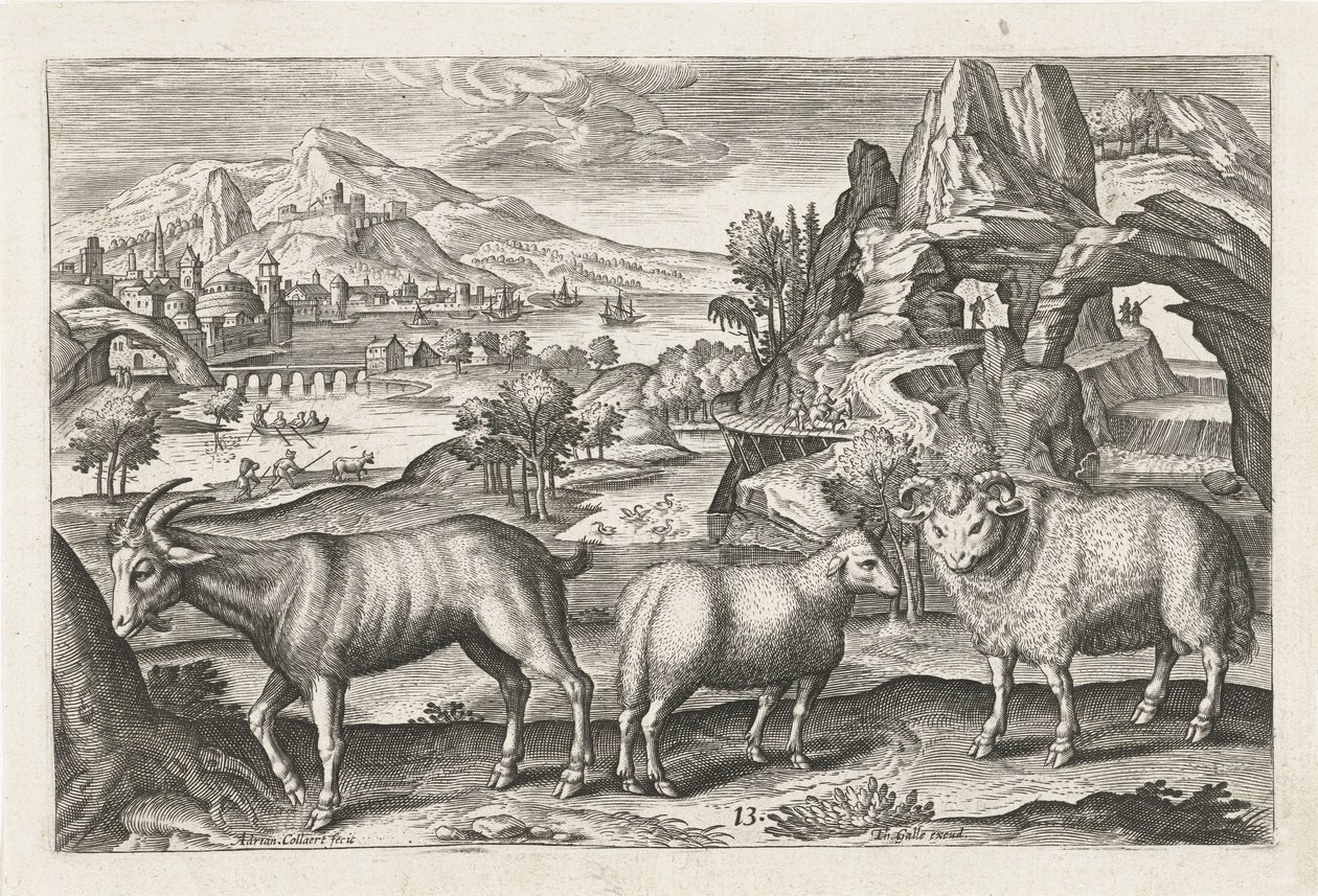 cabra e ovelha Animais de quatro patas (título da série) Animalivm Qvaddrvpedvm (título da série) de Adriaen Collaert