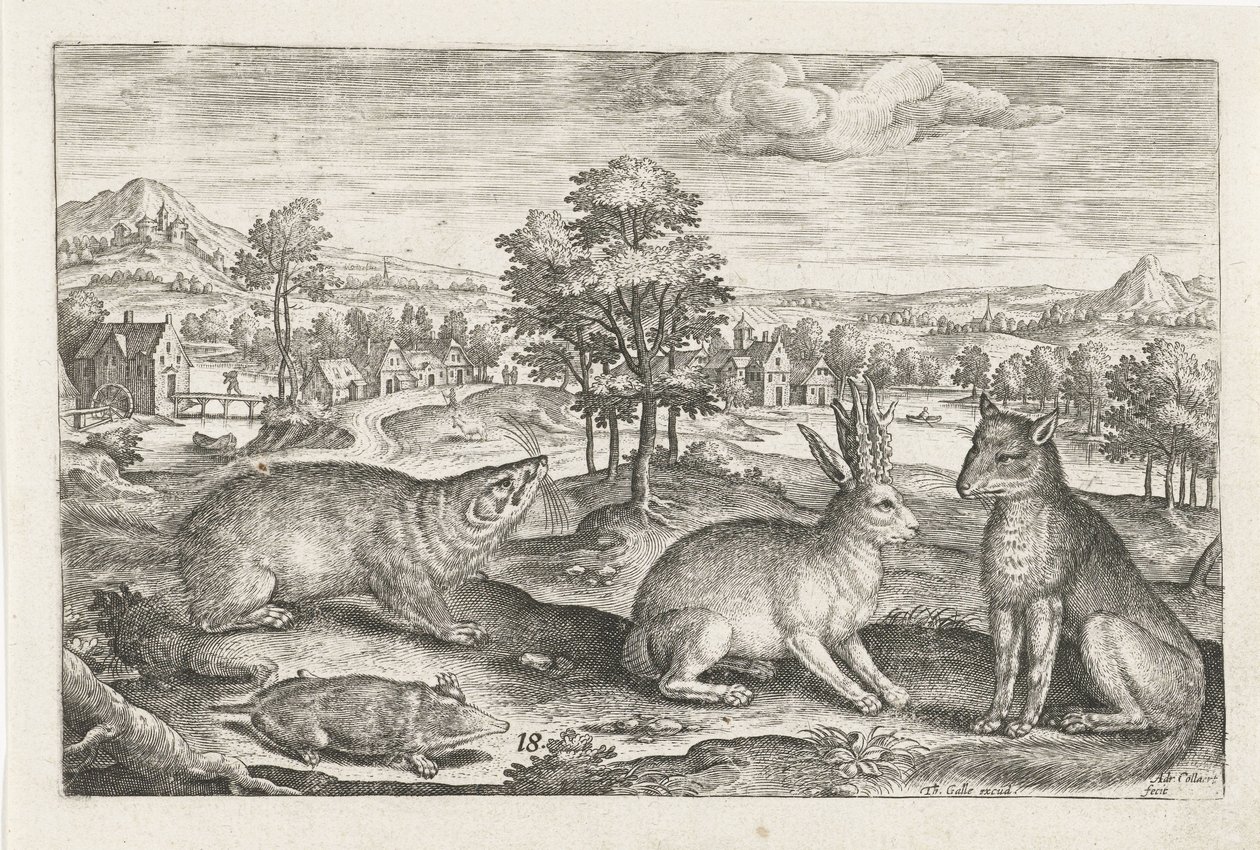 Animais Florestais
Animais de quatro patas (título da série)
Animalivm Qvaddrvpedvm (título da série) de Adriaen Collaert