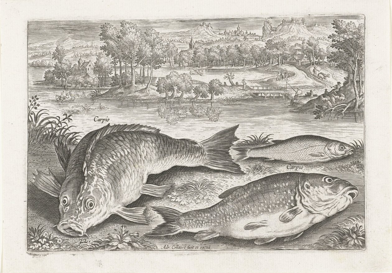Três carpas num banco
Peixe (título da série)
Piscivm vivae icones (título da série) de Adriaen Collaert