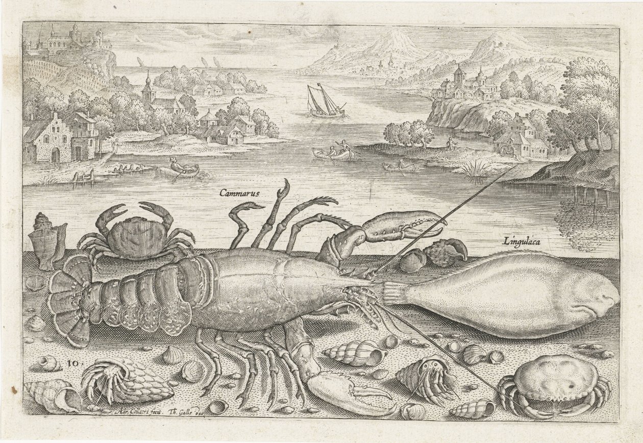Um peixe e alguns crustáceos na praia Pesca (título da série) Piscivm vivae icons (título da série) de Adriaen Collaert