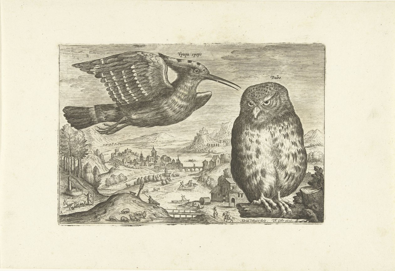 Algumas aves numa paisagem
Pássaros (título da série)
Avivm vivae (título da série) de Adriaen Collaert
