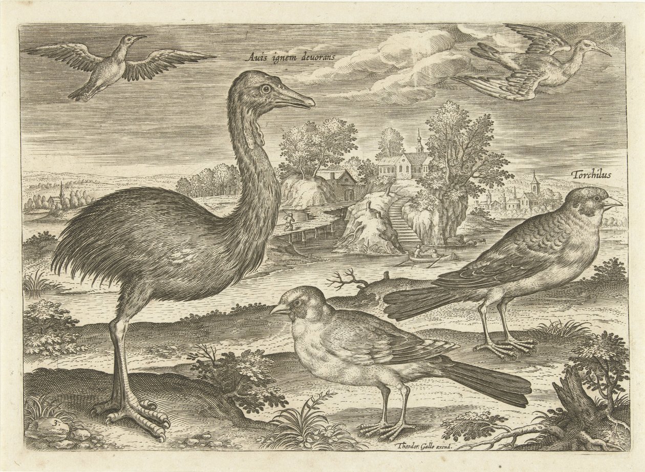 Algumas aves numa paisagem
Pássaros (título da série)
Avivm vivae (título da série) de Adriaen Collaert
