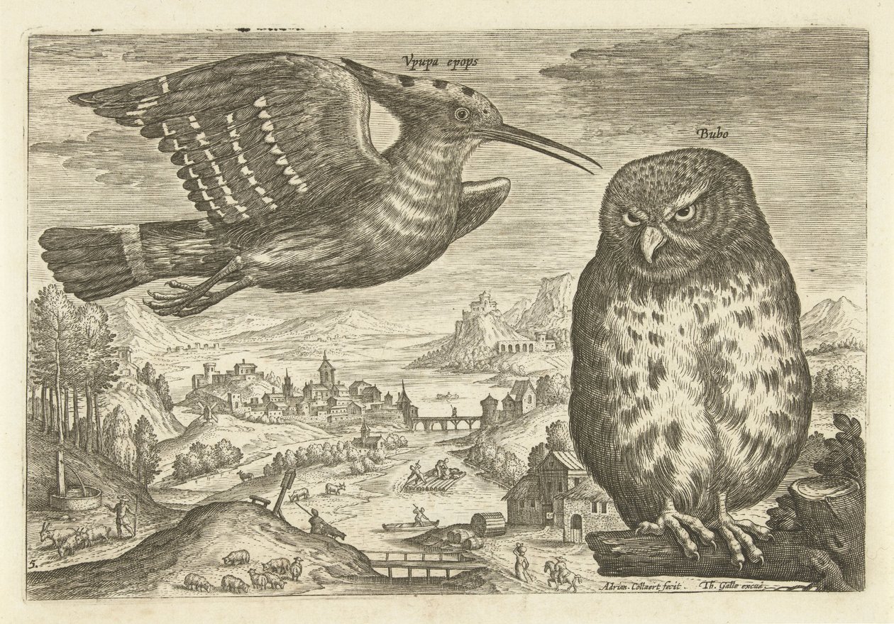 Algumas aves numa paisagem
Pássaros (título da série)
Avivm vivae (título da série) de Adriaen Collaert