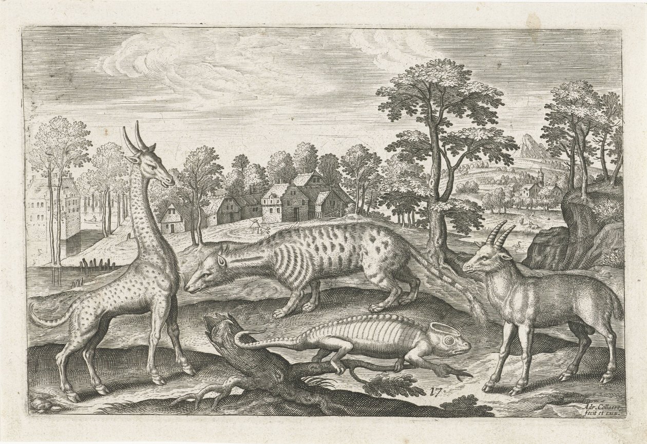 Animais exóticos
Animais de quatro patas (título da série)
Animalivm Qvaddrvpedvm (título da série) de Adriaen Collaert