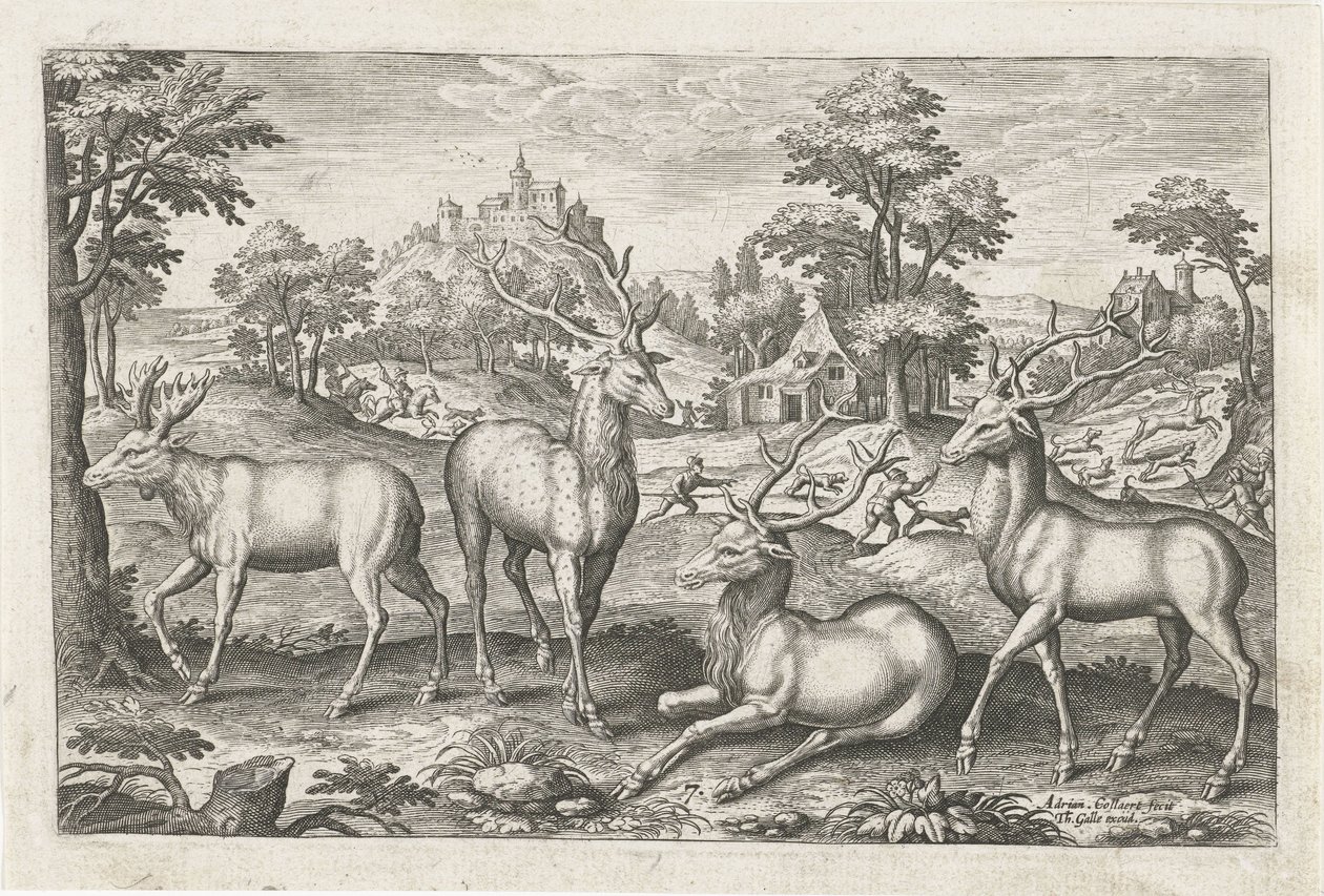 cervo Animais de quatro patas (título da série) Animalivm Qvaddrvpedvm (título da série) de Adriaen Collaert