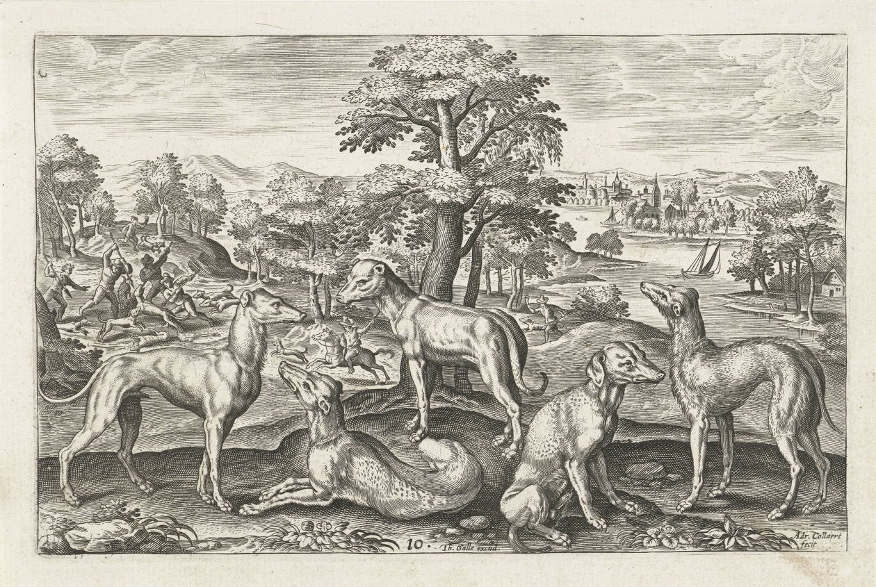 Cães de caça
Animais de quatro patas (título da série)
Animalivm Qvaddrvpedvm (título da série) de Adriaen Collaert
