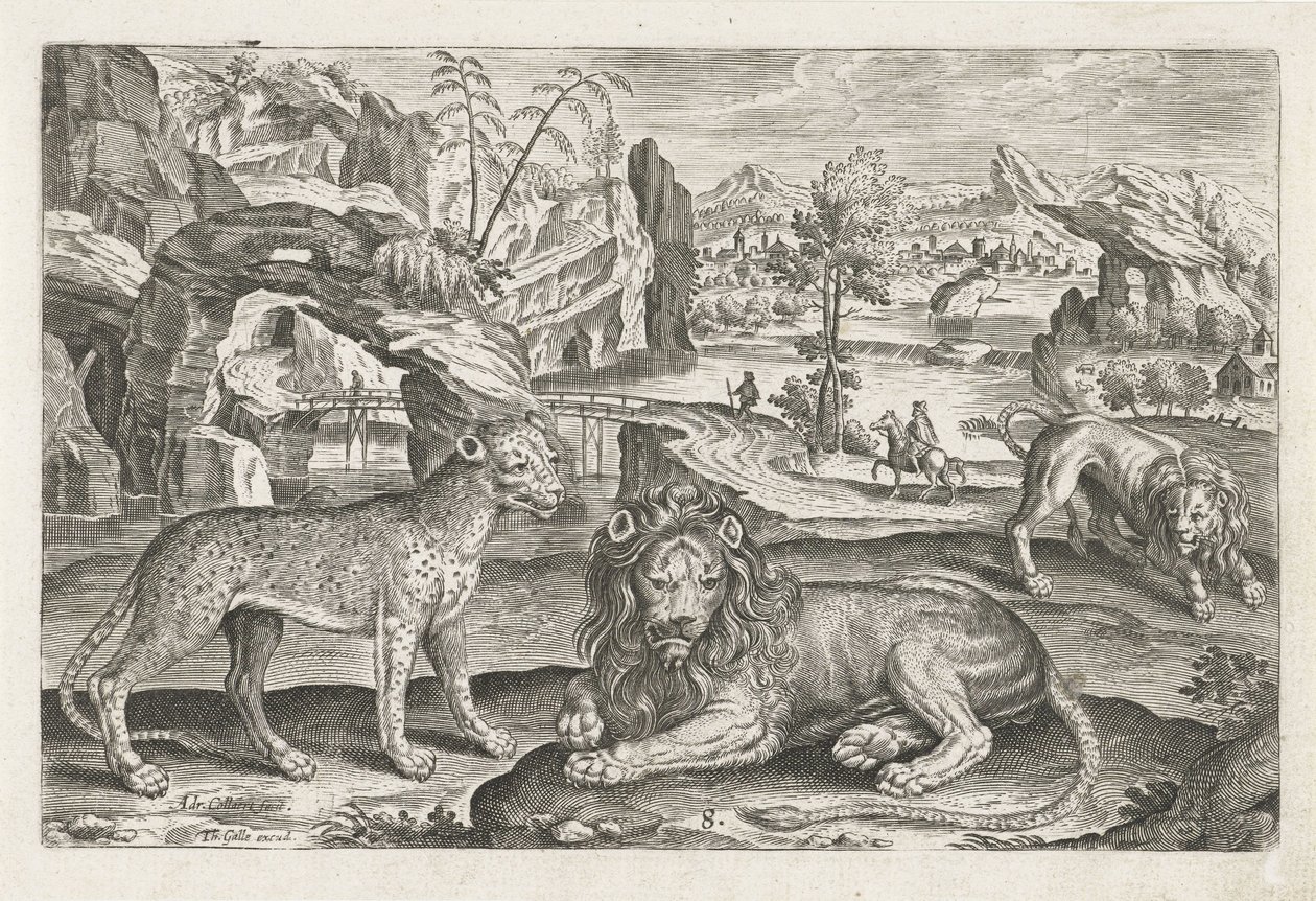 Leões e Leopardo Animais de quatro patas (título da série) Animalivm Qvaddrvpedvm (título da série) de Adriaen Collaert