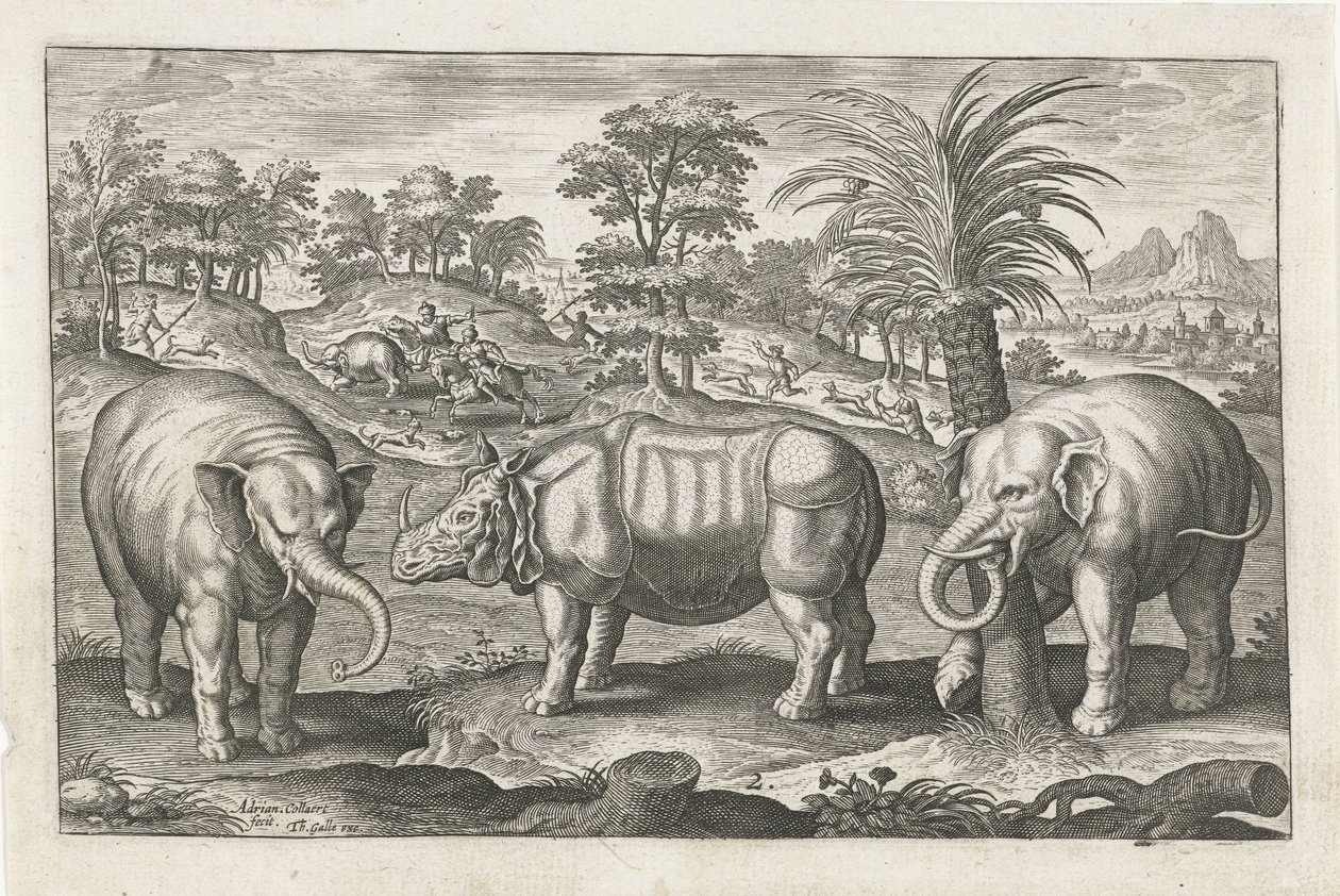 Elefantes e rinoceronte
Animais de quatro patas (título da série)
Animalivm Qvaddrvpedvm (título da série) de Adriaen Collaert