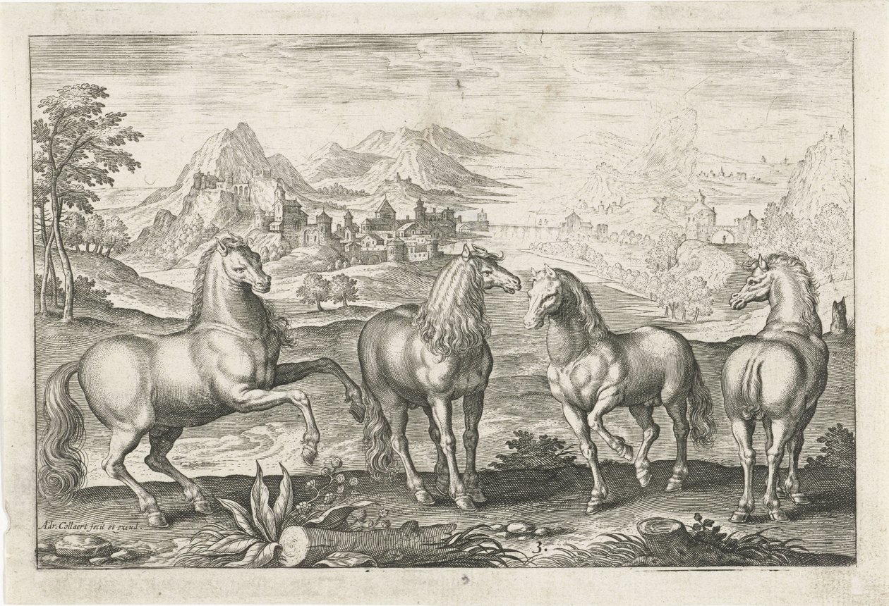 Cavalos Animais de quatro patas (título da série) Animalivm Qvaddrvpedvm (título da série) de Adriaen Collaert